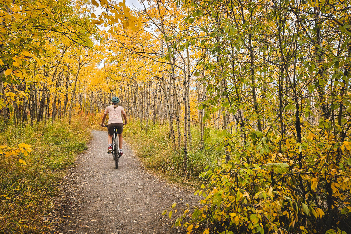 Medicine Hill - Paskapoo Slopes